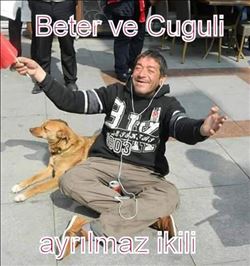 İlgili resim