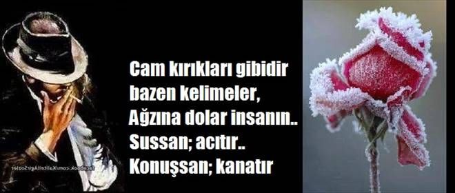 /resimler/2015-7/2/0735507529340.jpg /resimler/2015-7/2/0735507529340.jpg
