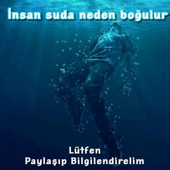 /resimler/2015-8/4/0136334601660.jpg /resimler/2015-8/4/0136334601660.jpg