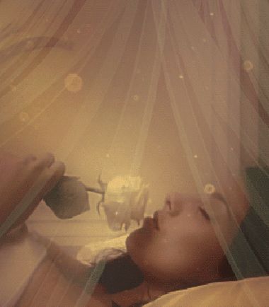 /resimler/2016-12/23/1131012422139.gif /resimler/2016-12/23/1131012422139.gif