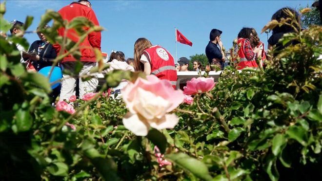 /resimler/2016-4/25/0038489006229.jpg /resimler/2016-4/25/0038489006229.jpg