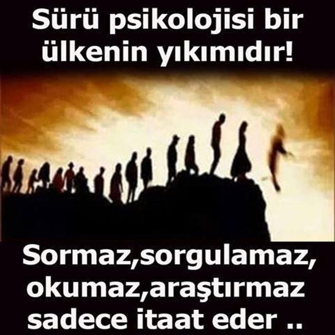 /resimler/2016-8/14/1201045725770.jpg /resimler/2016-8/14/1201045725770.jpg