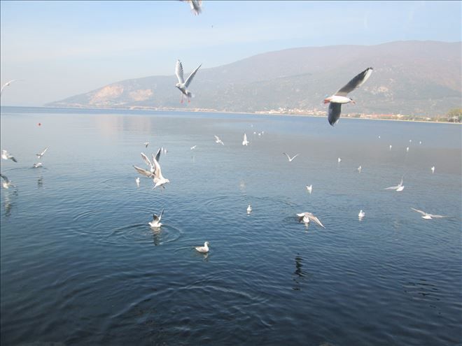 /resimler/2017-11/27/1827258947095.jpg /resimler/2017-11/27/1827258947095.jpg