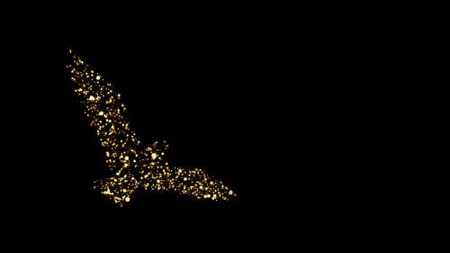 /resimler/2017-2/25/0955470617022.gif /resimler/2017-2/25/0955470617022.gif
