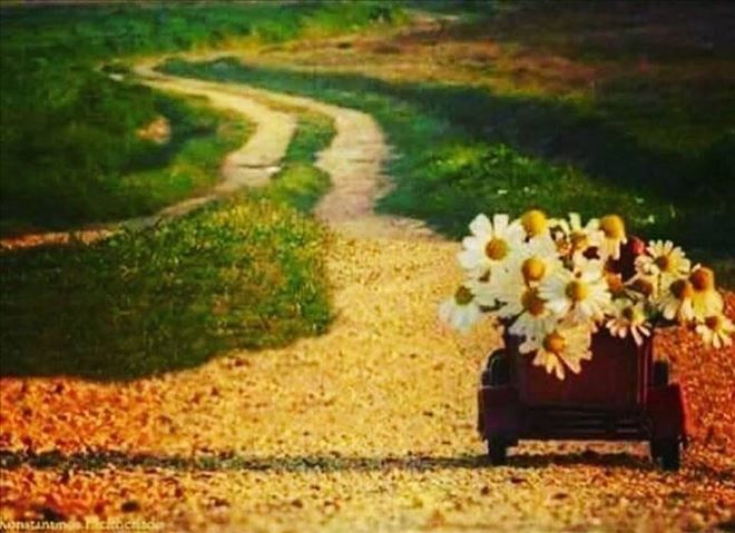 /resimler/2018-1/6/2235596133907.jpg /resimler/2018-1/6/2235596133907.jpg