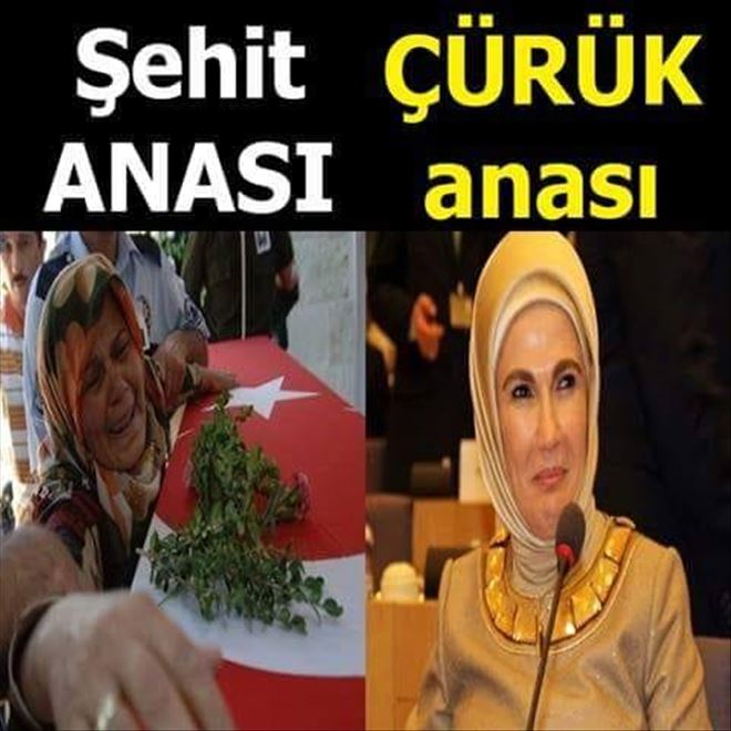 /resimler/2018-10/4/0805498308487.jpg /resimler/2018-10/4/0805498308487.jpg