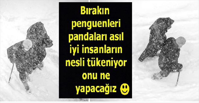 /resimler/2018-10/4/0808093623912.jpg /resimler/2018-10/4/0808093623912.jpg