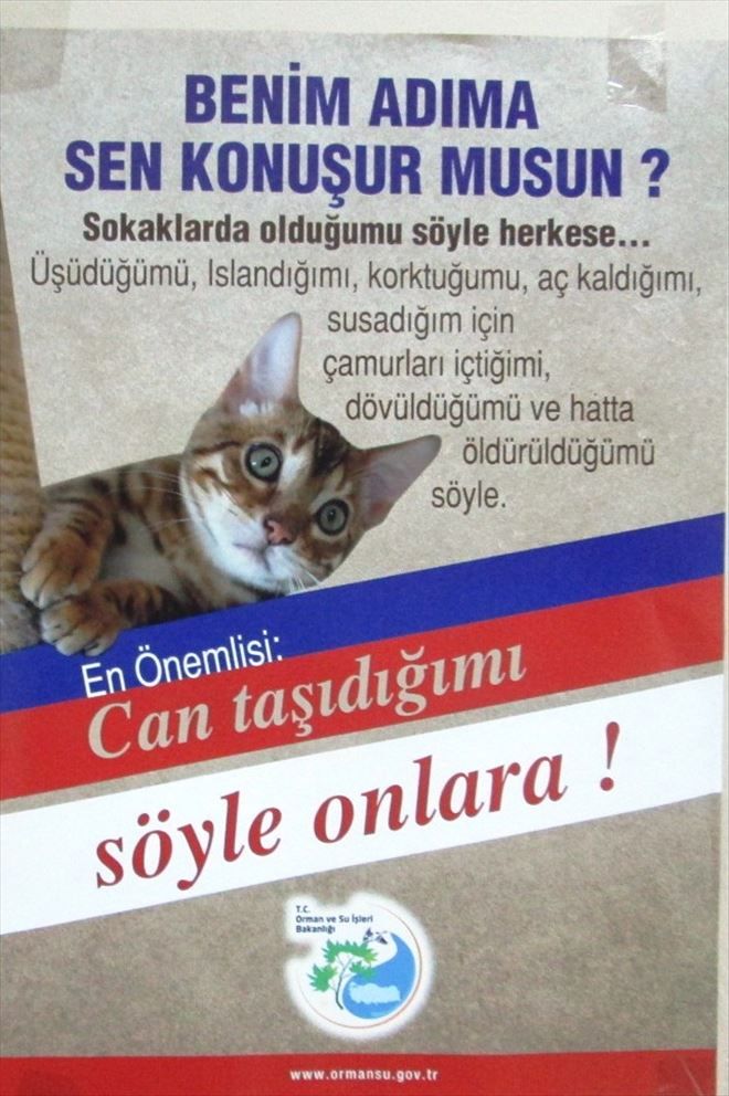 /resimler/2018-2/12/1420309915422.jpg /resimler/2018-2/12/1420309915422.jpg