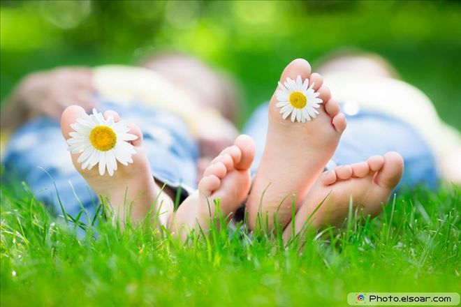 /resimler/2018-2/2/1511152097405.jpg /resimler/2018-2/2/1511152097405.jpg