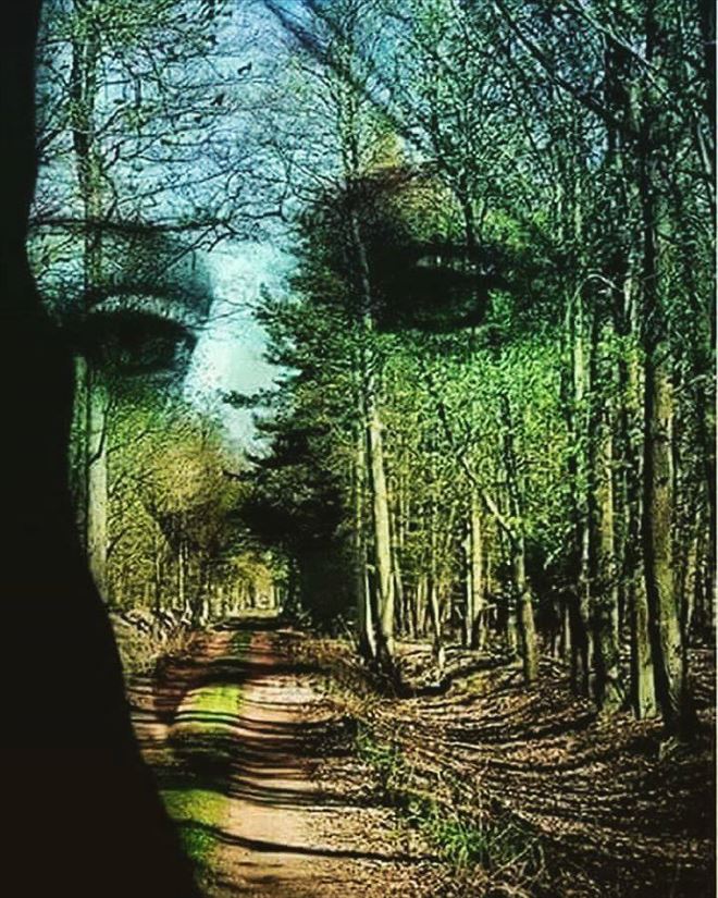 /resimler/2018-3/31/2355052069274.jpg /resimler/2018-3/31/2355052069274.jpg