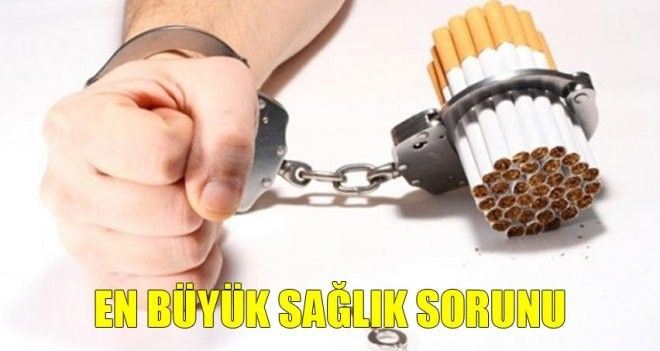 /resimler/2018-4/3/1236178224605.jpg /resimler/2018-4/3/1236178224605.jpg