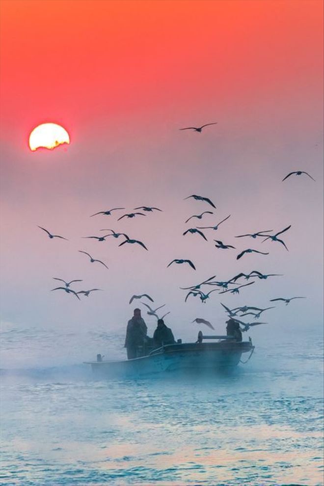 /resimler/2018-4/5/2311594484314.jpg /resimler/2018-4/5/2311594484314.jpg