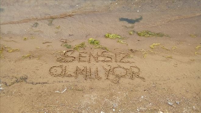 /resimler/2018-9/7/2159289323250.jpg /resimler/2018-9/7/2159289323250.jpg