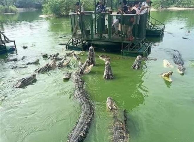 /resimler/2019-10/31/0941350497005.jpg /resimler/2019-10/31/0941350497005.jpg