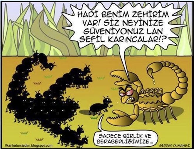 /resimler/2019-2/25/0952243269939.jpg /resimler/2019-2/25/0952243269939.jpg