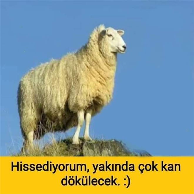 /resimler/2019-8/2/1410318159684.jpg /resimler/2019-8/2/1410318159684.jpg