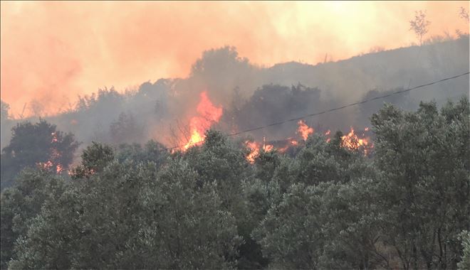 Orman yangınları yüreğimizi yakıyor