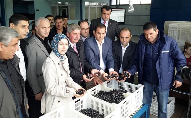 Edincik´te dualı açılış