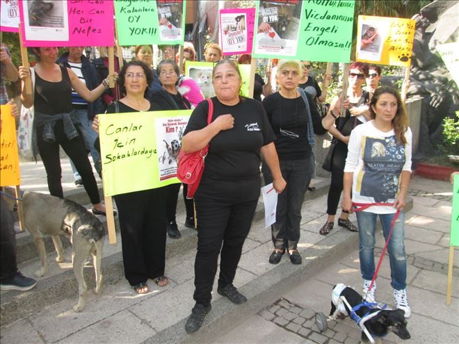 Hayvan severlerin çağrı