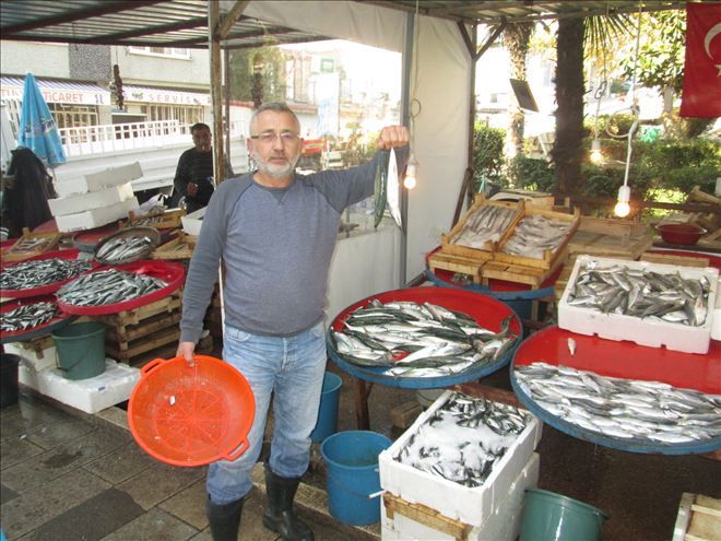 Erdek Körfezi´nde sürpriz: 15 yıl sonra uskumru