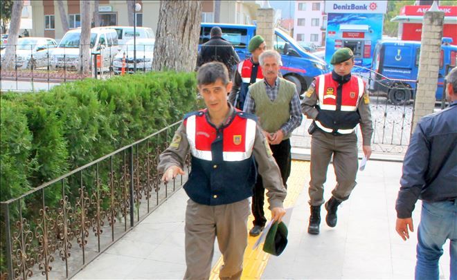 Bir tutam ot uğruna canından oldu.