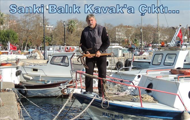 Erdek körfezinde balık yok