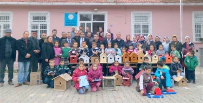 Her ağaca, ayrı bir kuş yuvası