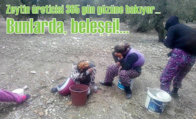 Çiftçi Malları Korumaya aldı.