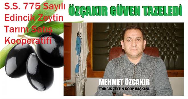 Zeytinci,