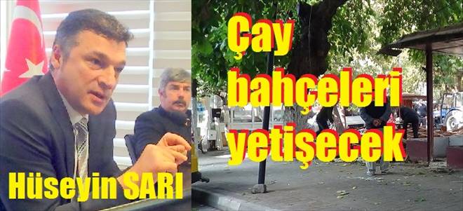 Çay bahçelerine açıklık getirdi