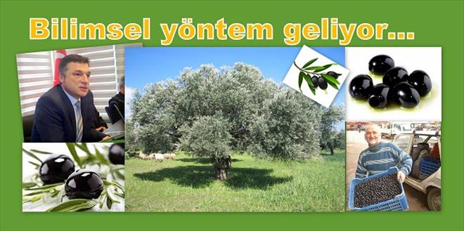 Zeytin Hastalıkları ile mücadele konferansı