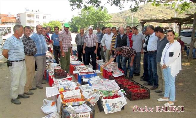 Ballıpınar kirazı yok satıyor