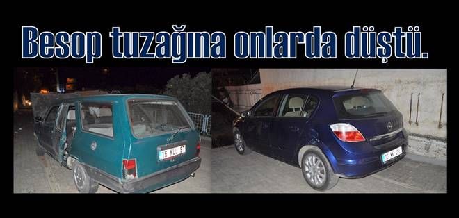 Bermuda gibi