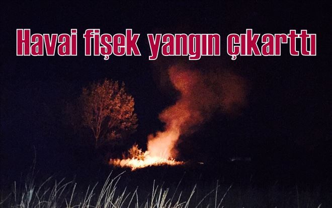 Havai fişek yangın çıkarttı