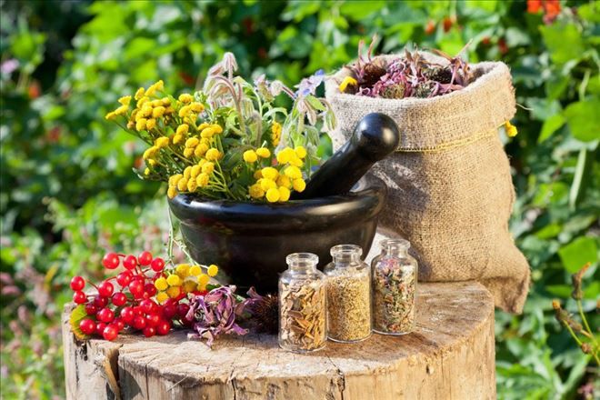 HOMEOPATİ 