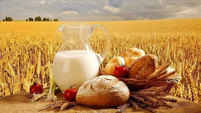 Belediyeler fırın işletemeyecek