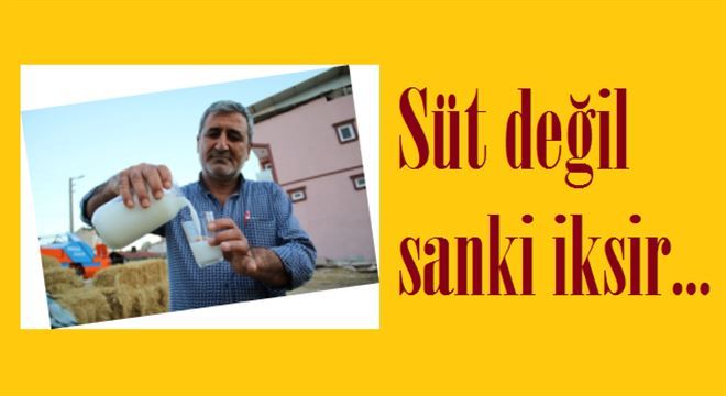 Anne sütüne rakip çıktı.