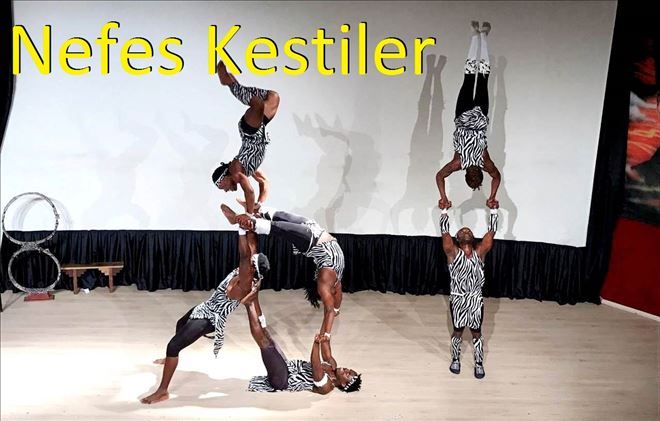 Afrika Sirkinde son gün