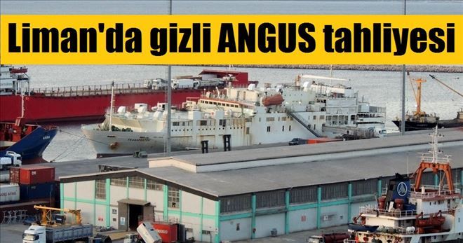 Gizlenen Angus tahliyesi