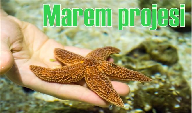 MAREM projesi