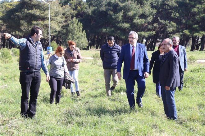 General balcı Çamlığı halkın hizmetine  sunuluyor
