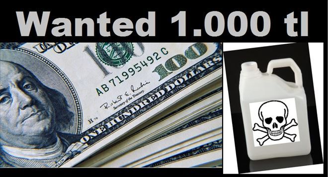 WANTED 1.000. tl.