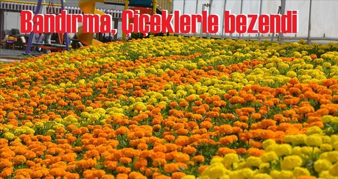 BANDIRMA ÇİÇEK AÇIYOR