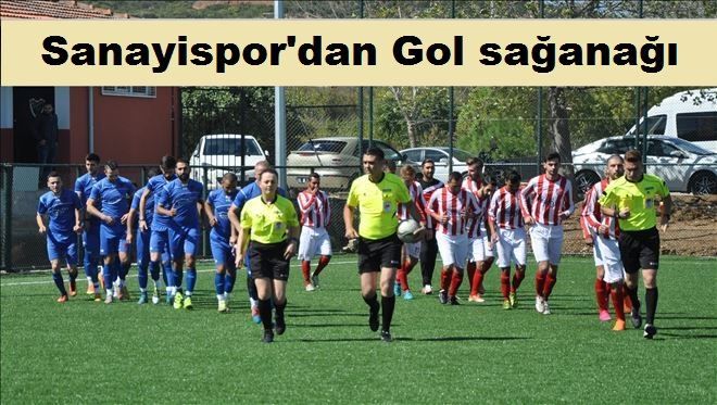 Sanayispor 9-1 Ocaklarspor