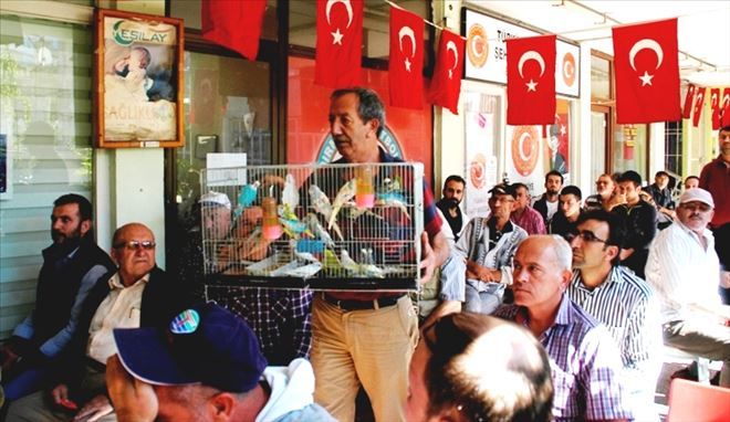 Kuş mezadına ilgi yüksek