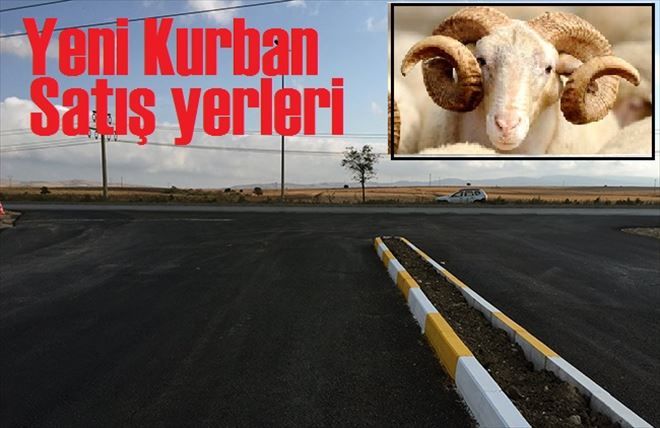 YENİ KURBAN SATIŞ YERİ HAZIR