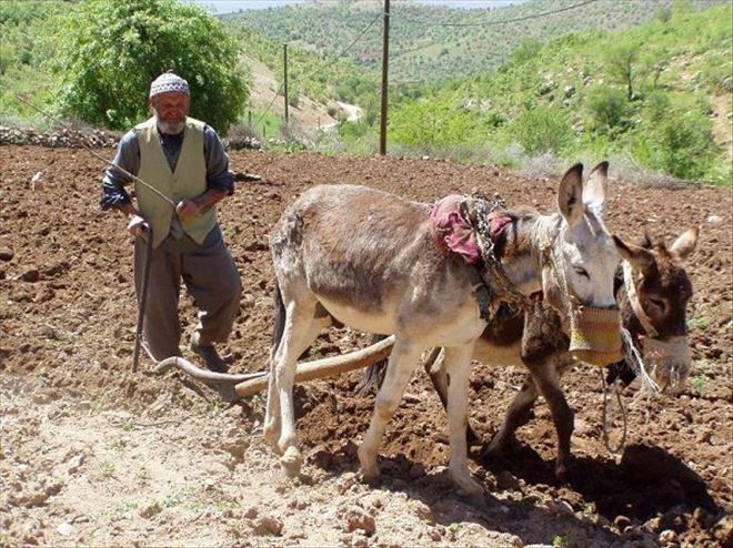 -İşsizliğin ilacı tarım?