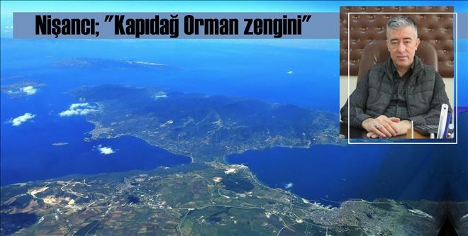 Yeni ormanlar oluşturulacak