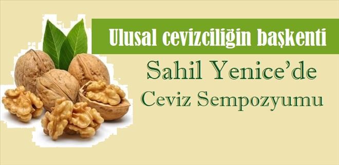 Ceviz yetiştiricilerine bilimsel destek