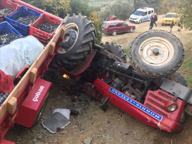 Bahçe yolunda can pazarı